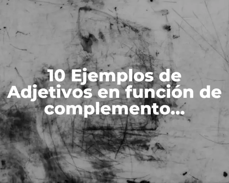 10 Ejemplos de Adjetivos en función de complemento predicativo