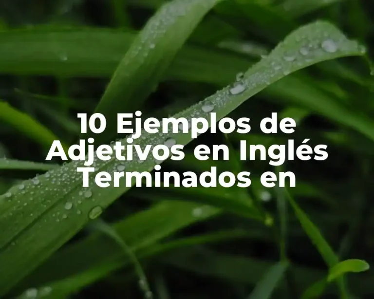 10 Ejemplos de Adjetivos en Inglés Terminados en