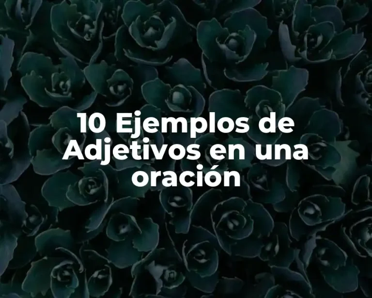 10 Ejemplos de Adjetivos en una oración