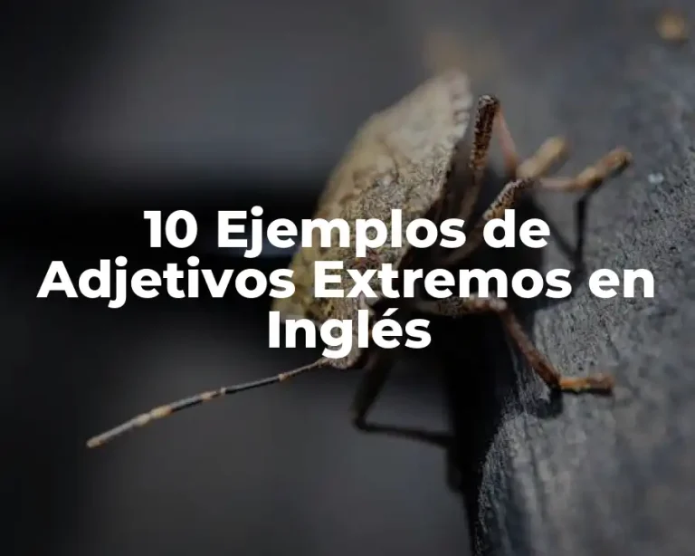 10 Ejemplos de Adjetivos Extremos en Inglés