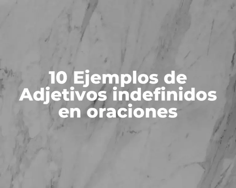 10 Ejemplos de Adjetivos indefinidos en oraciones