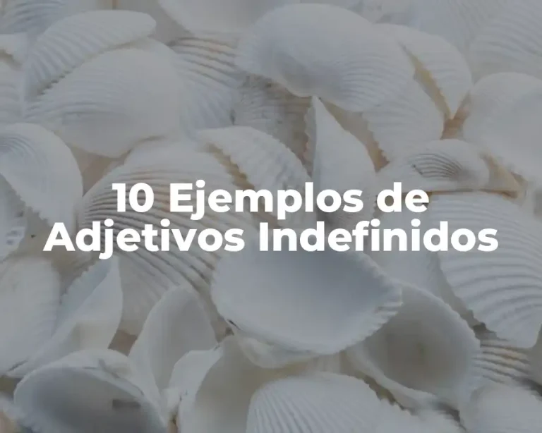 10 Ejemplos de Adjetivos Indefinidos