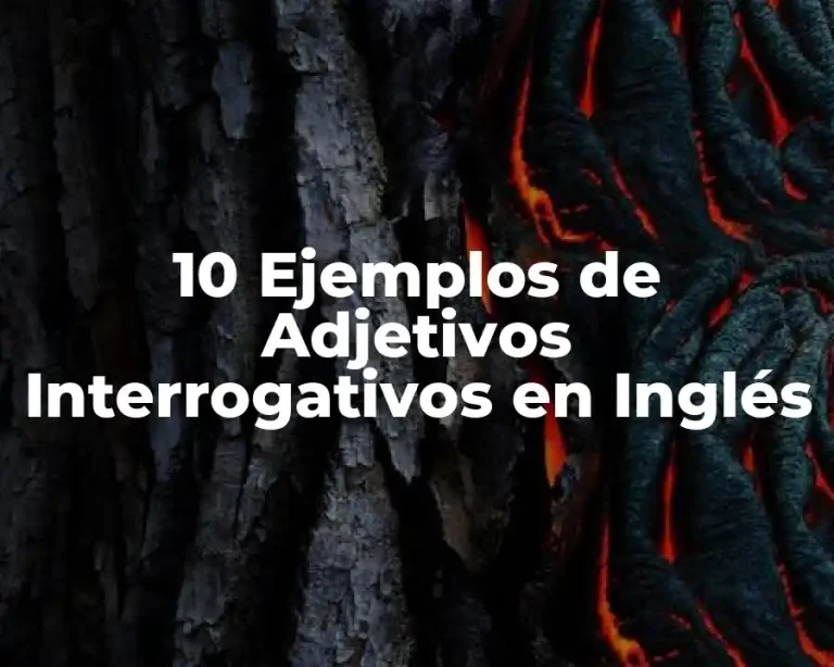10 Ejemplos de Adjetivos Interrogativos en Inglés