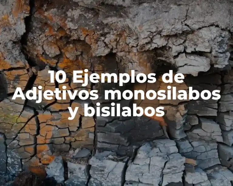 10 Ejemplos de Adjetivos monosilabos y bisilabos