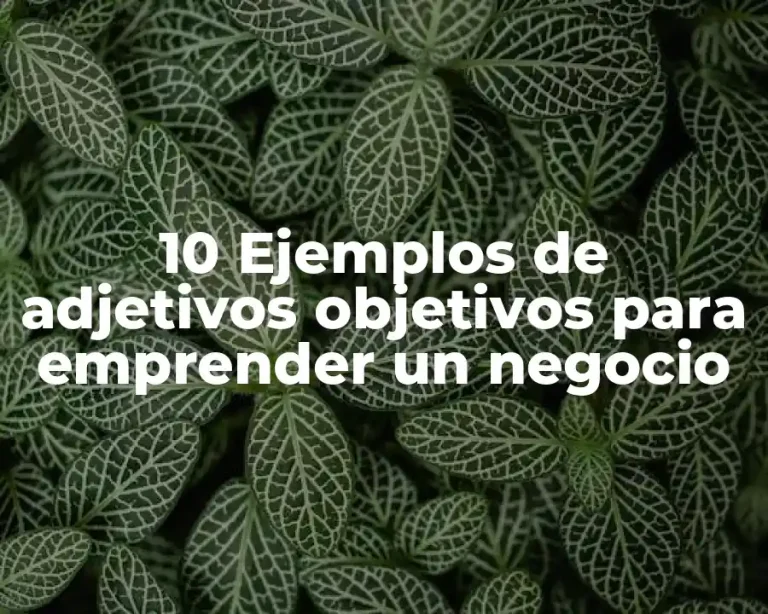 10 Ejemplos de adjetivos objetivos para emprender un negocio