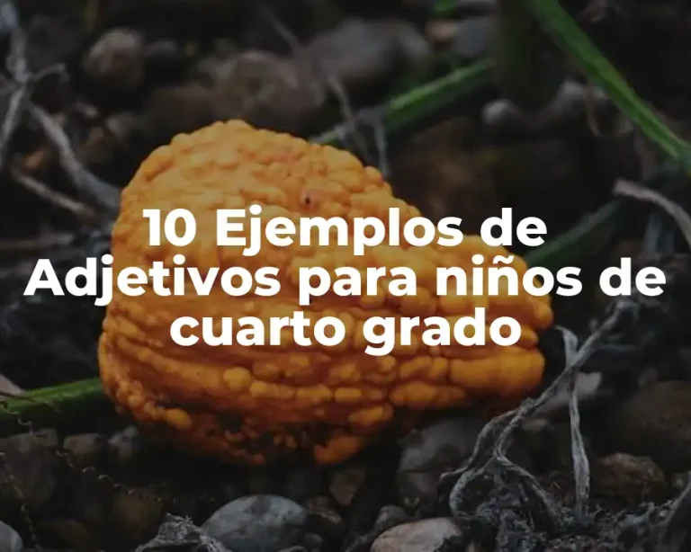 10 Ejemplos de Adjetivos para niños de cuarto grado