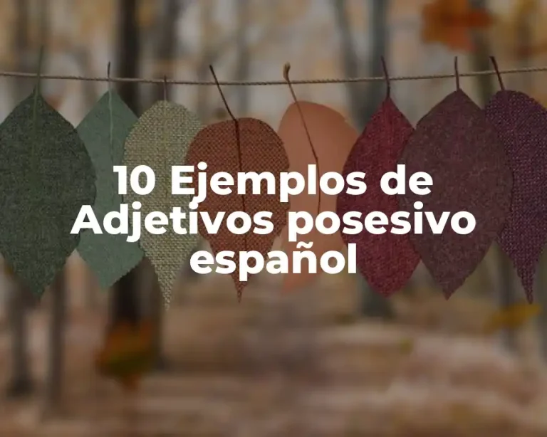 10 Ejemplos de Adjetivos posesivo español