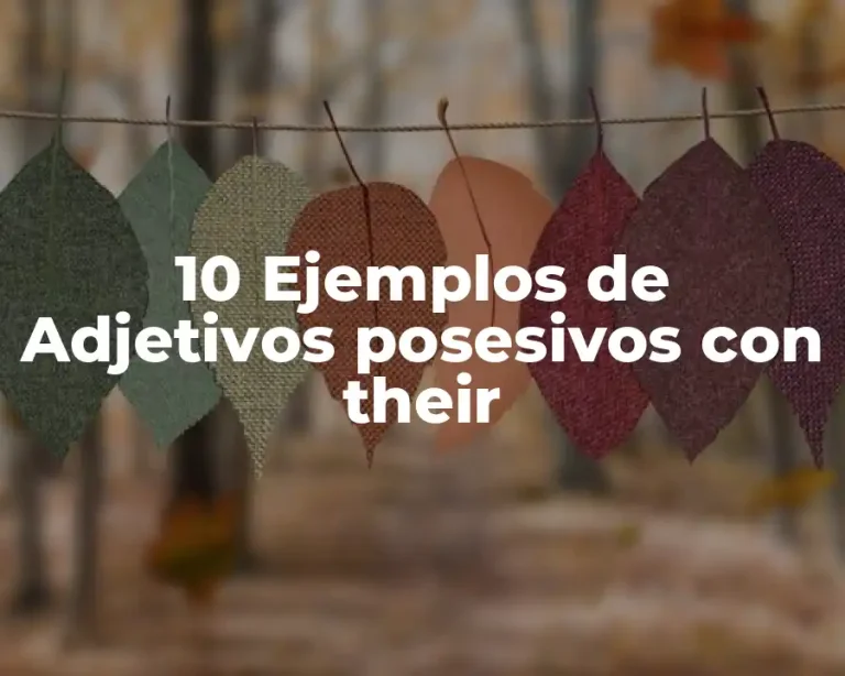 10 Ejemplos de Adjetivos posesivos con their