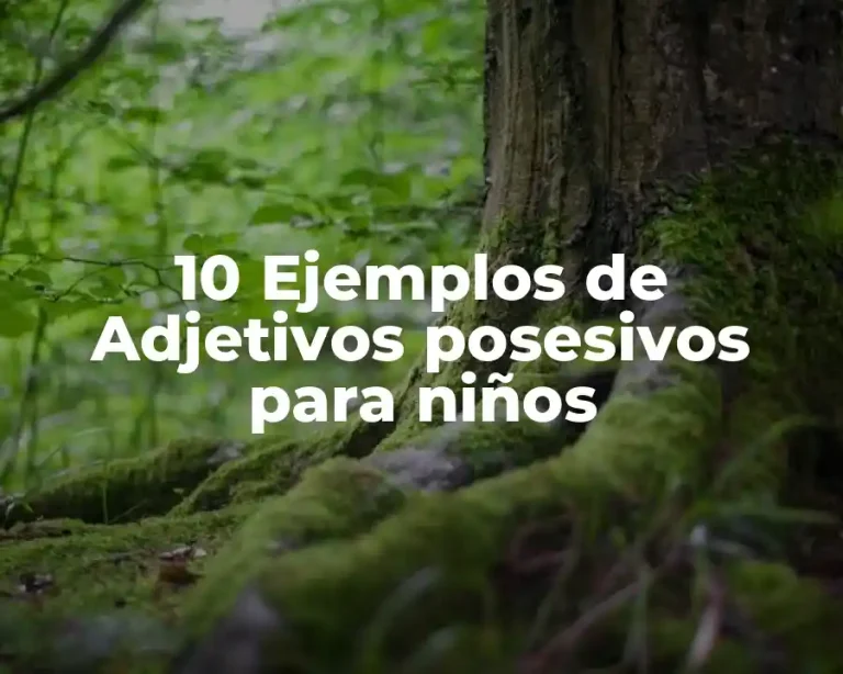 10 Ejemplos de Adjetivos posesivos para niños