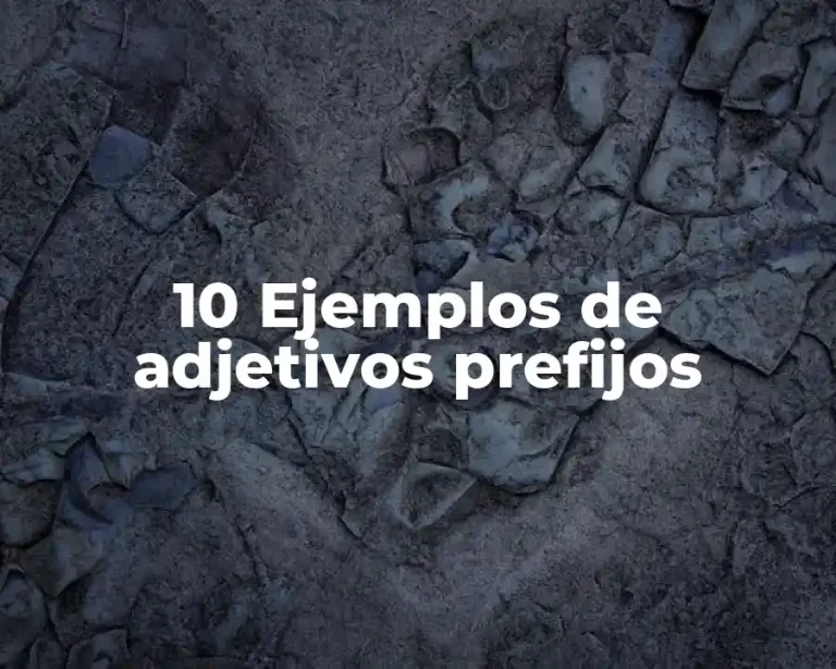 10 Ejemplos de adjetivos prefijos