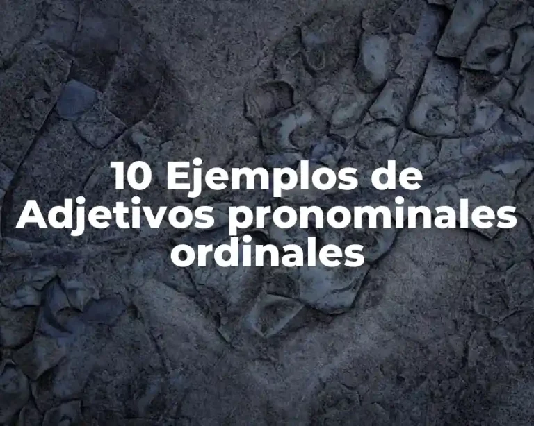 10 Ejemplos de Adjetivos pronominales ordinales