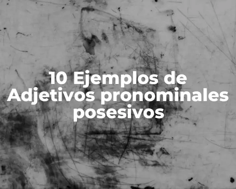 10 Ejemplos de Adjetivos pronominales posesivos
