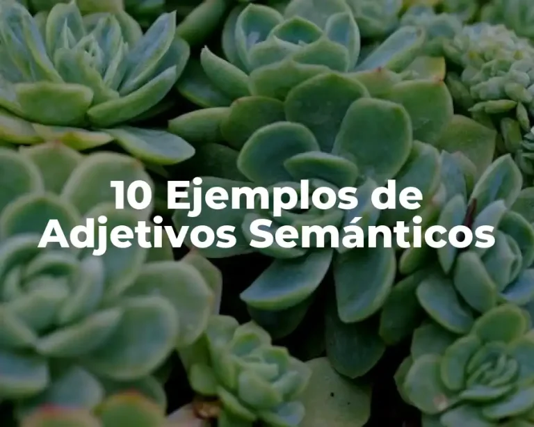 10 Ejemplos de Adjetivos Semánticos