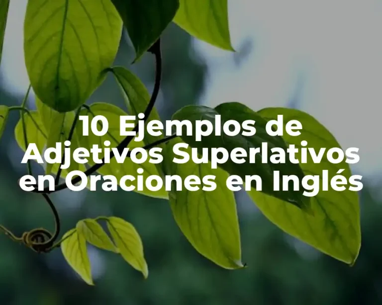 10 Ejemplos de Adjetivos Superlativos en Oraciones en Inglés