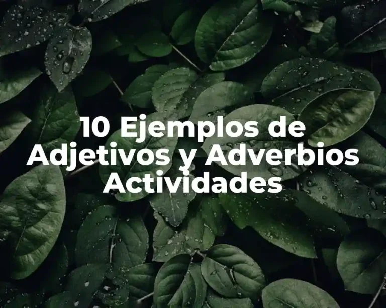 10 Ejemplos de Adjetivos y Adverbios Actividades