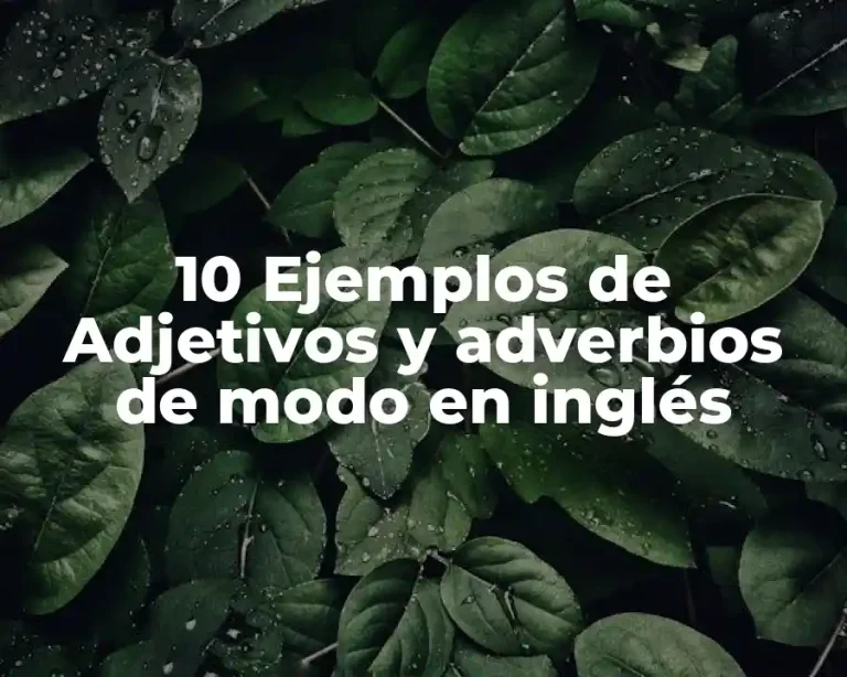 10 Ejemplos de Adjetivos y adverbios de modo en inglés