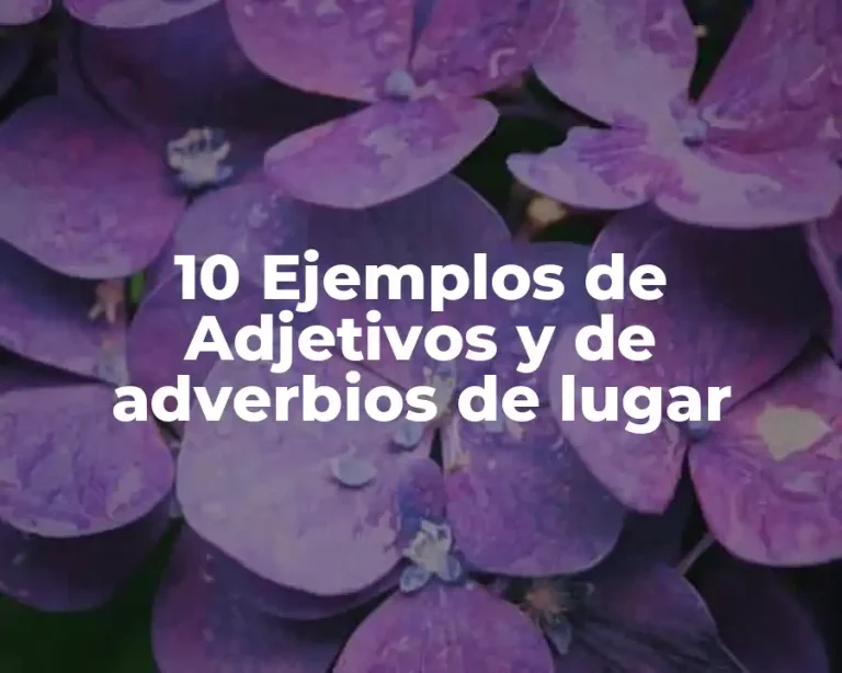 10 Ejemplos de Adjetivos y de adverbios de lugar