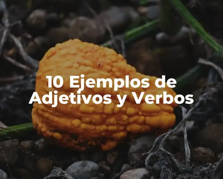 10 Ejemplos de Adjetivos y Verbos