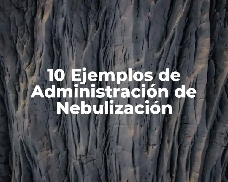 10 Ejemplos de Administración de Nebulización