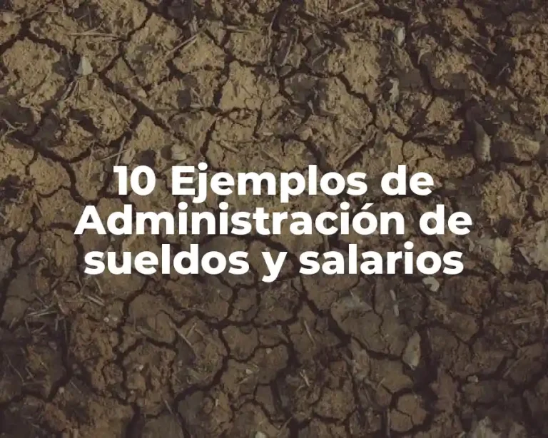 10 Ejemplos de Administración de sueldos y salarios
