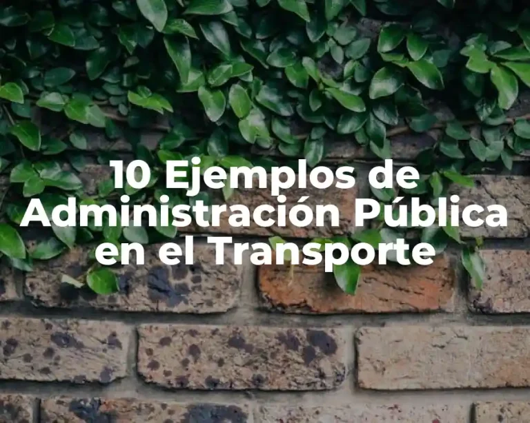 10 Ejemplos de Administración Pública en el Transporte