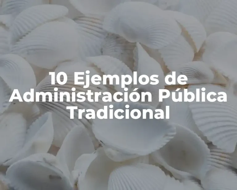 10 Ejemplos de Administración Pública Tradicional