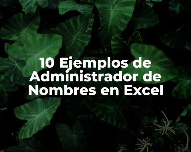10 Ejemplos de Administrador de Nombres en Excel