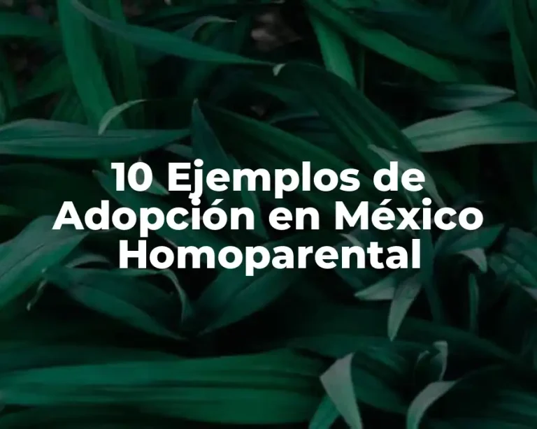 10 Ejemplos de Adopción en México Homoparental