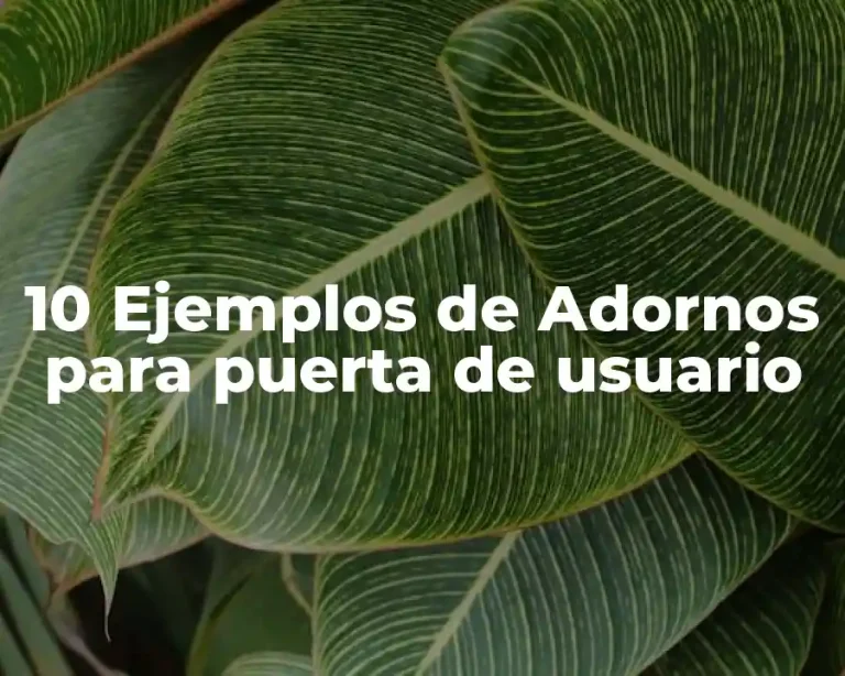 10 Ejemplos de Adornos para puerta de usuario