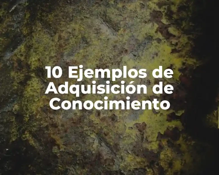 10 Ejemplos de Adquisición de Conocimiento