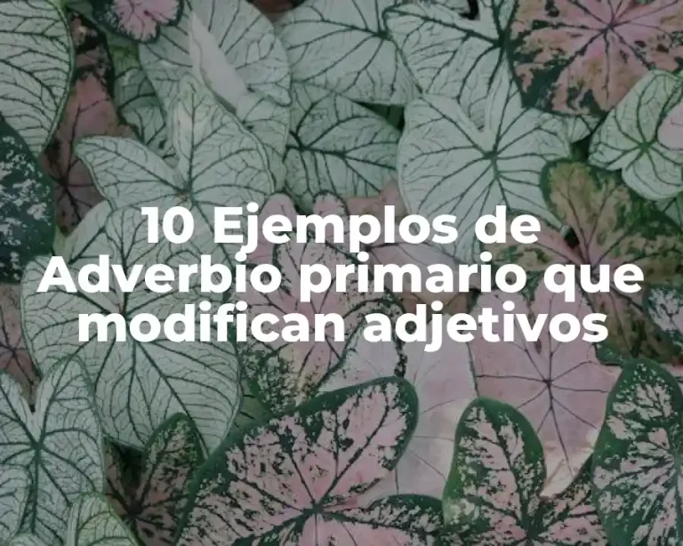 10 Ejemplos de Adverbio primario que modifican adjetivos