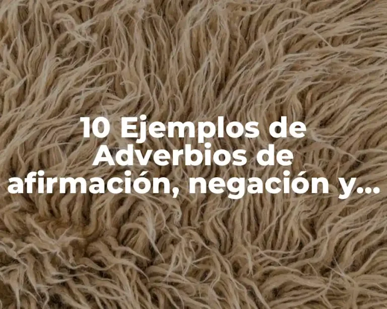 10 Ejemplos de Adverbios de afirmación, negación y duda