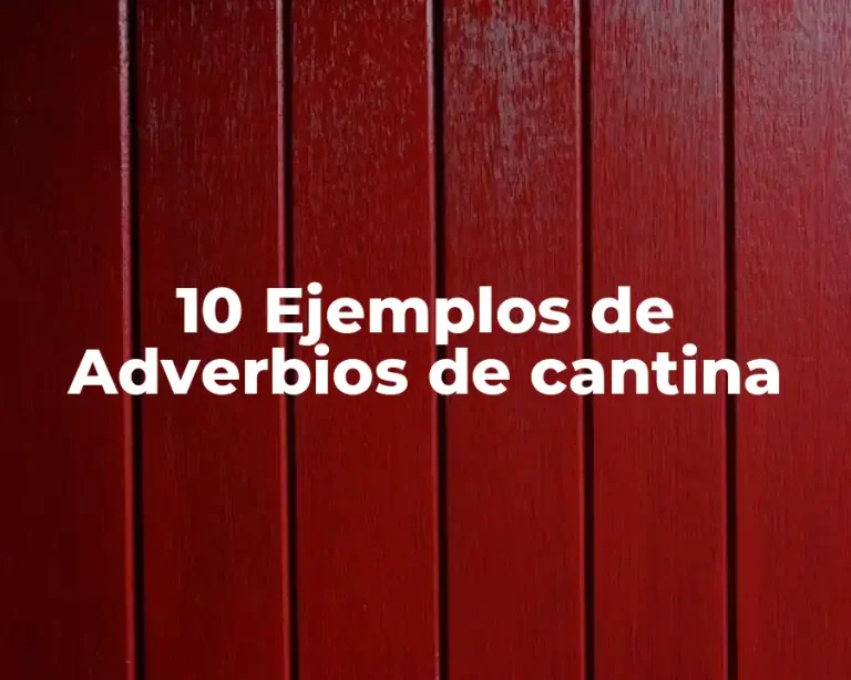 10 Ejemplos de Adverbios de cantina