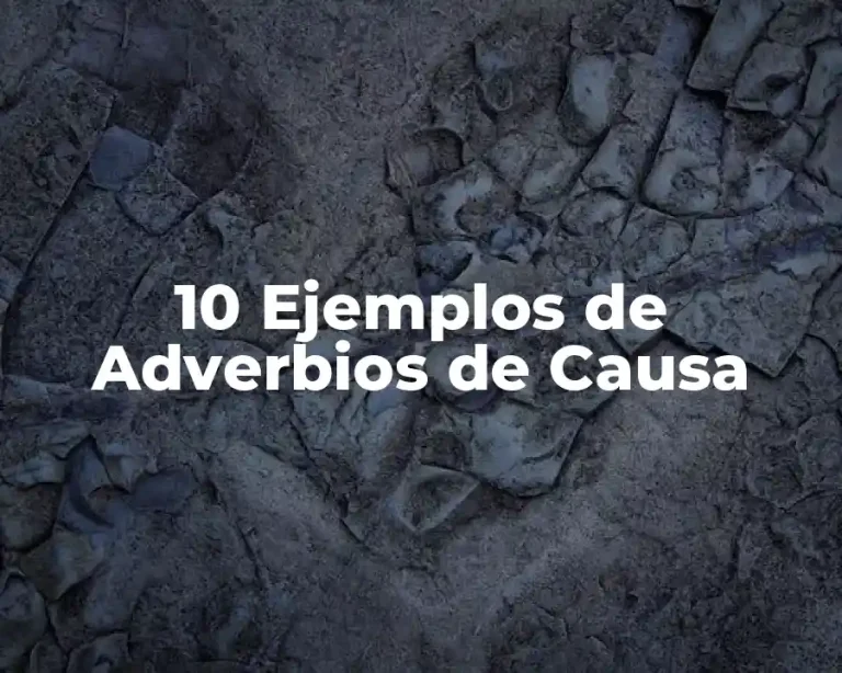 10 Ejemplos de Adverbios de Causa