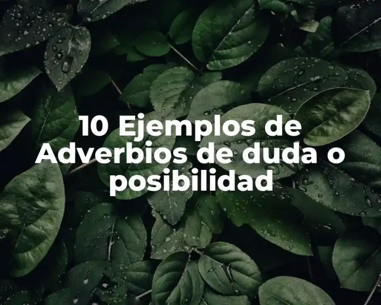 10 Ejemplos de Adverbios de duda o posibilidad