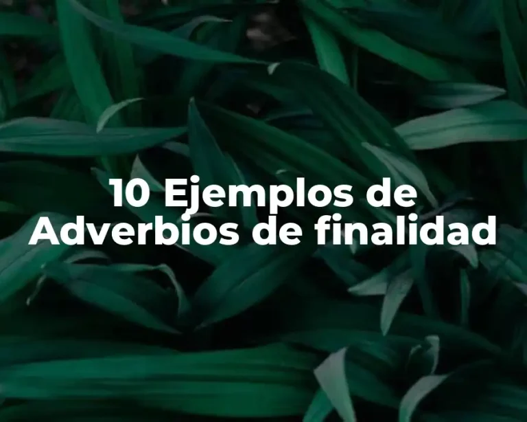 10 Ejemplos de Adverbios de finalidad
