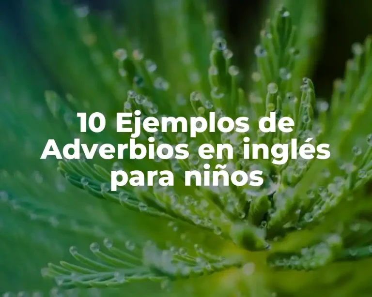 10 Ejemplos de Adverbios en inglés para niños