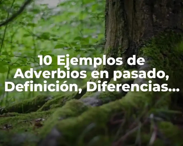 10 Ejemplos de Adverbios en pasado, Definición, Diferencias y para que sirve