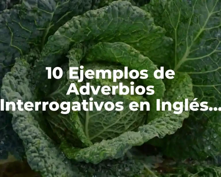 10 Ejemplos de Adverbios Interrogativos en Inglés y Español