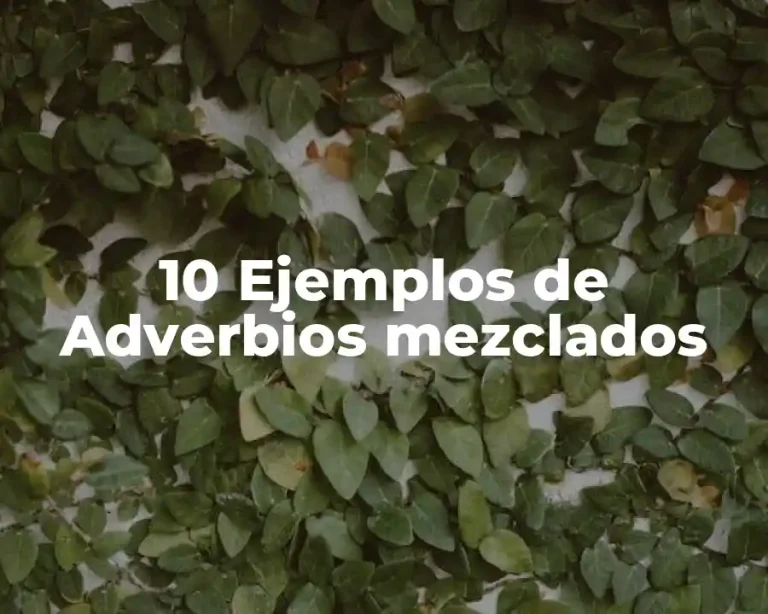 10 Ejemplos de Adverbios mezclados