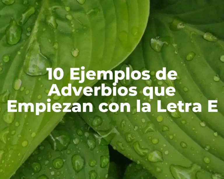 10 Ejemplos de Adverbios que Empiezan con la Letra E