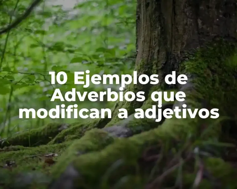 10 Ejemplos de Adverbios que modifican a adjetivos