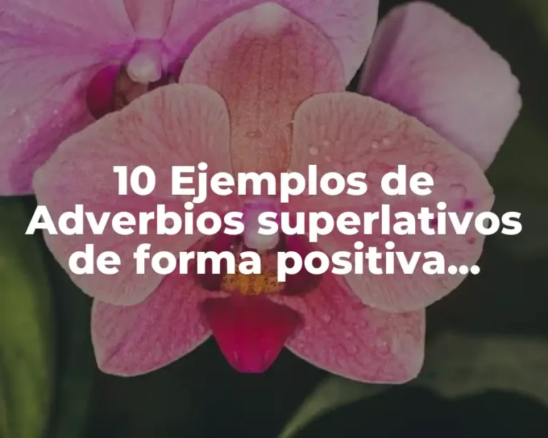 10 Ejemplos de Adverbios superlativos de forma positiva, negativa e interrogativa