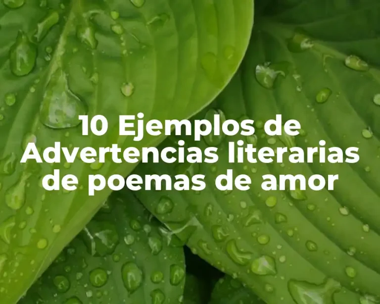 10 Ejemplos de Advertencias literarias de poemas de amor