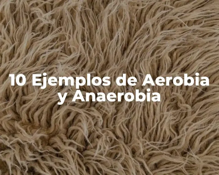 10 Ejemplos de Aerobia y Anaerobia