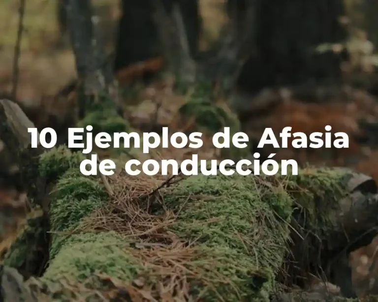10 Ejemplos de Afasia de conducción
