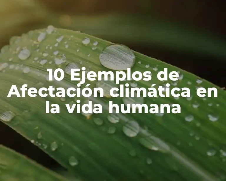 10 Ejemplos de Afectación climática en la vida humana