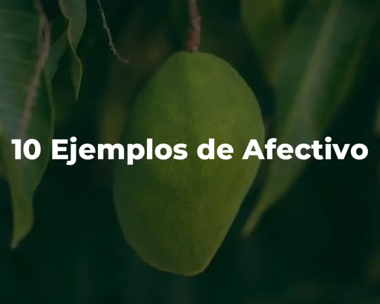 10 Ejemplos de Afectivo