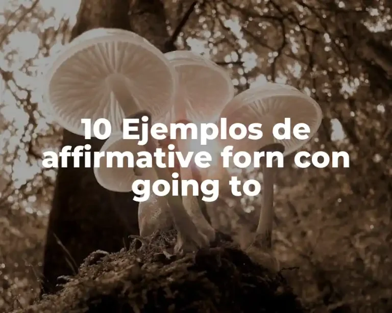 10 Ejemplos de affirmative forn con going to