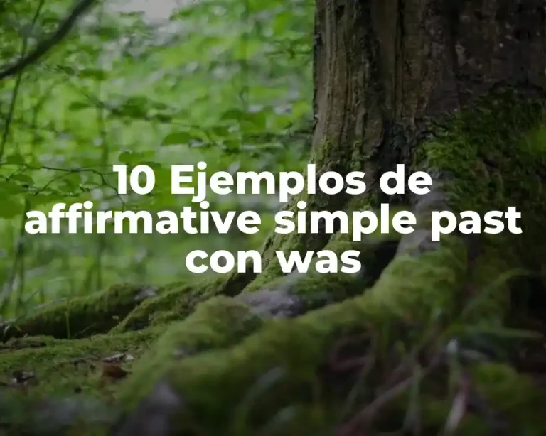 10 Ejemplos de affirmative simple past con was
